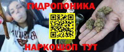 крисы Краснокаменск