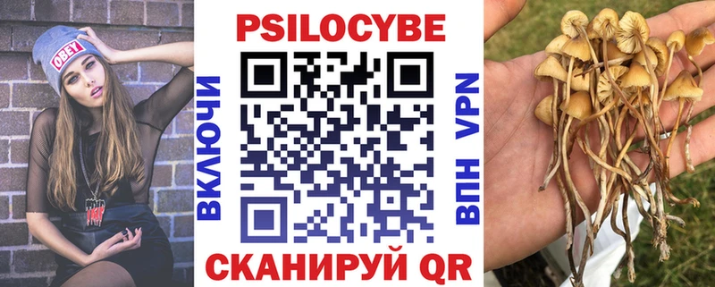 где купить наркоту  Орск  Псилоцибиновые грибы Psilocybine cubensis 