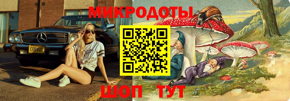 Галлюциногенные грибы Psilocybine cubensis  Вход с VPN  Орск 
