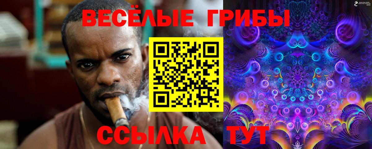 Галлюциногенные грибы MAGIC MUSHROOMS Орск