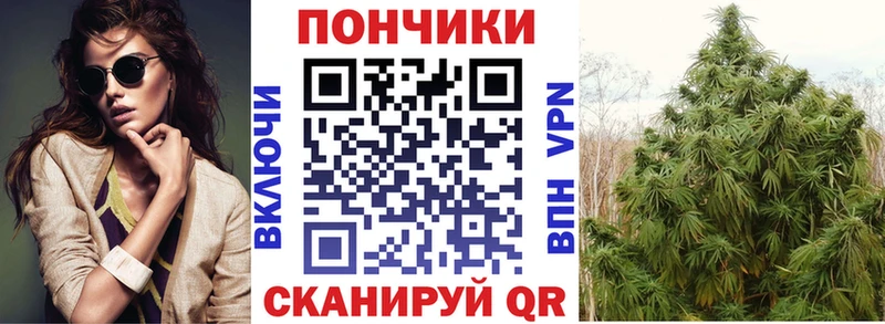 Каннабис планчик  Орск 